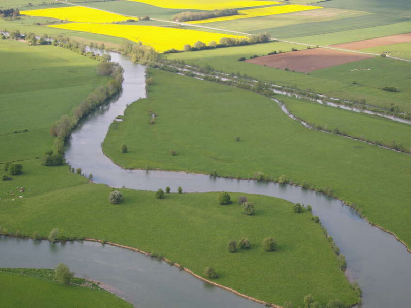 La Meuse à Wiseppe. Crédit photo : Thomas Schwab / OFB