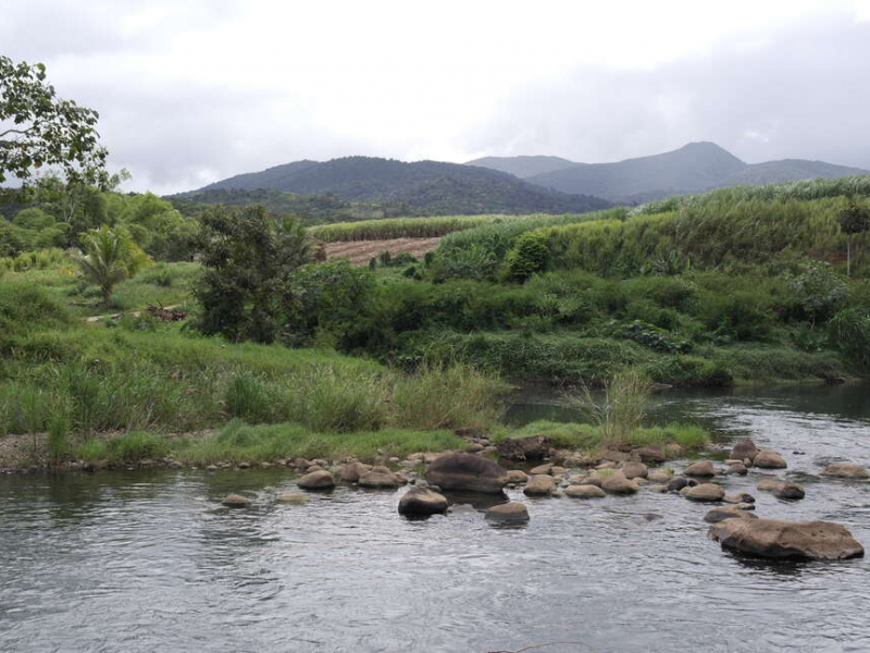 La rivière Bras-David en Guadeloupe (image d'illustration). Crédit photo : Claire Roussel / OFB