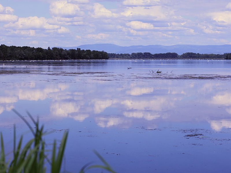 Vue sur le plan d'eau de Plobsheim. Crédit photo : Eric Spenle