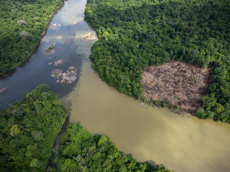 La rivière Waki déverse ses eaux boueuses dans le Tampok liées à l'orpallige illégal. Crédit photo : G. Feuillet / Parc amazonien de Guyane