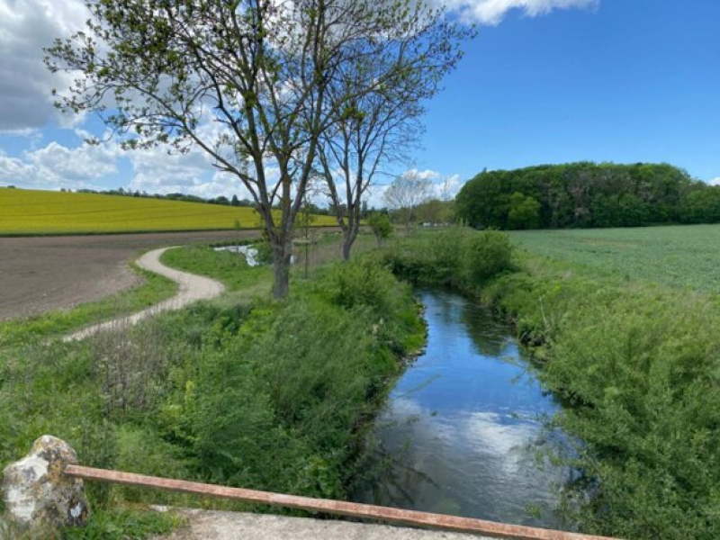 Portion du ru de Gally après travaux. Crédit photo : OFB