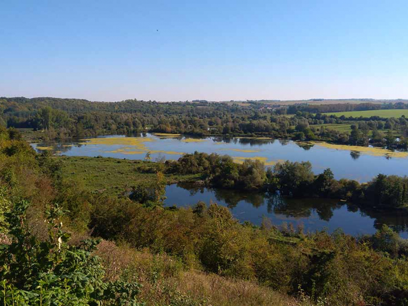 Crédit photo : Conservatoire d'espaces naturels des Hauts-de-France