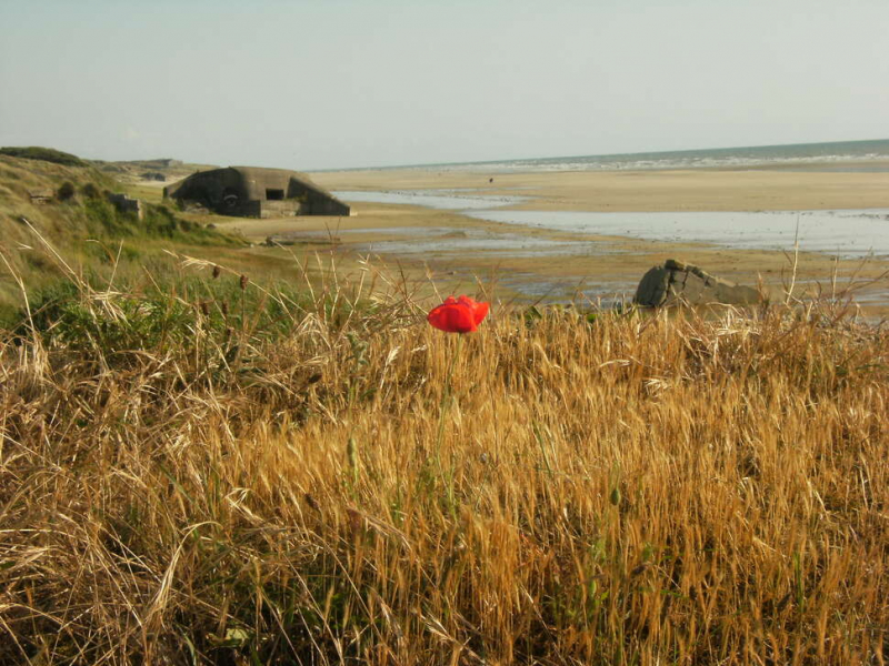 Bunker sur la plage de Hardelot (photo d'illustration). Crédit photo : Line Viera / OFB