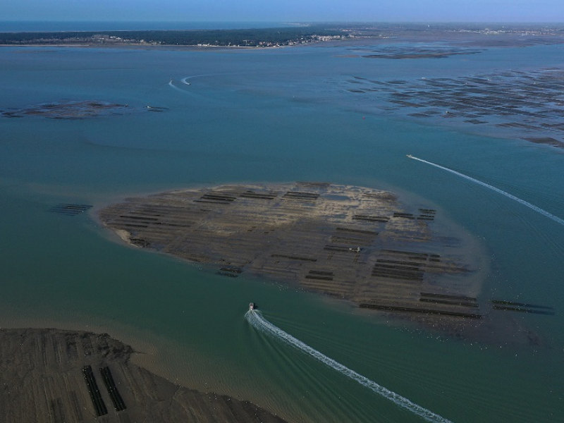 Banc de sable aménagé pour l'ostréiculture. Crédit : Olivier Roux / Agence française pour la biodiversité