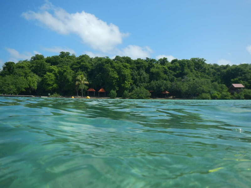 Paysage antillais (photo d'illustration). Crédit photo : Morjane Safi / OFB