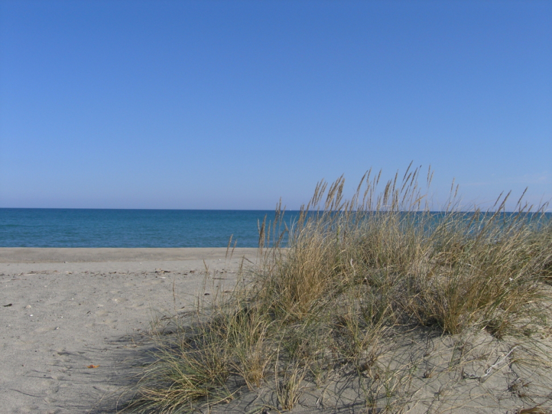 Plage de sable du côté d'Argelès-sur-Mer. Crédit photo : Emmanuelle Rivas