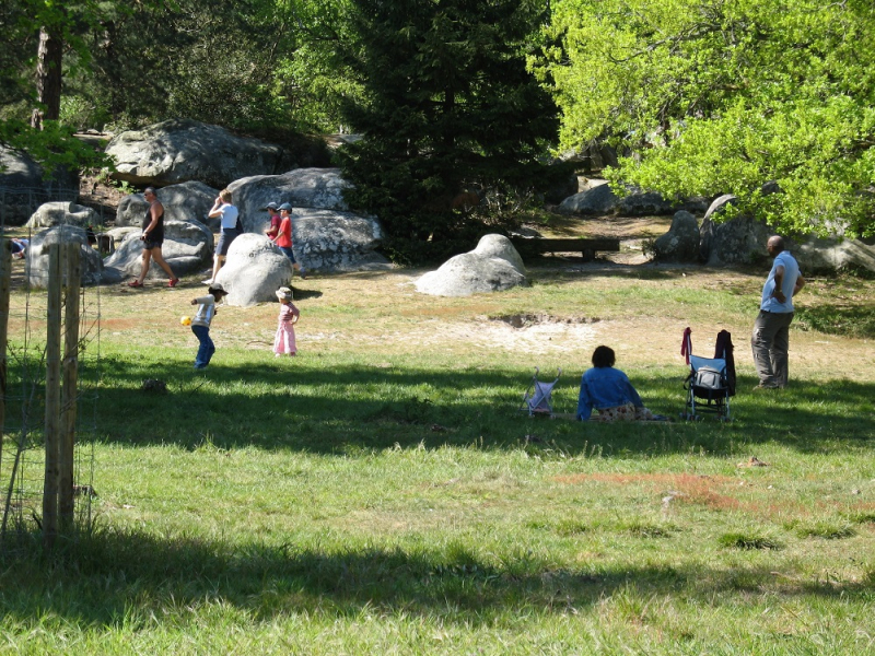 La forêt de Fontainebleau est très fréquentée par les familles aux beaux jours. Crédits : C. Baroche / ONF