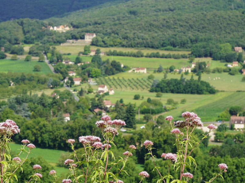 Paysage de campagne de Dordogne. Crédit photo : Julie Gourvès / i©onos