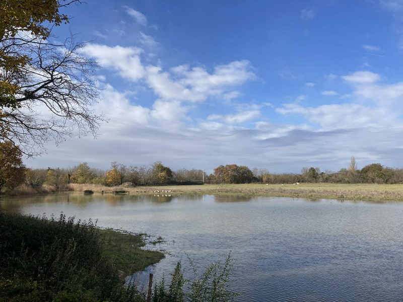 Le domaine des oiseaux, labellisé Territoires de faune sauvage en 2022. Crédit photo : Alexandre Achavey / Fondation François Sommer