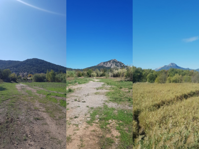 Photos du site : Zones de remblais (à gauche), zones intermédiaires (au centre) et les zones humides (à droite). Crédit photo : OFB