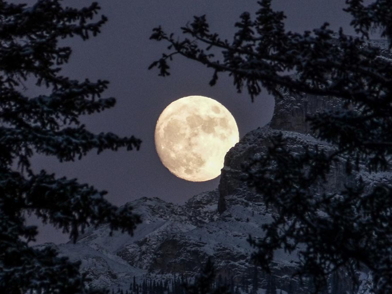 Lune au dessus d'une forêt (image d'illustration). Crédit photo : Kym MacKinnon - @vixenly