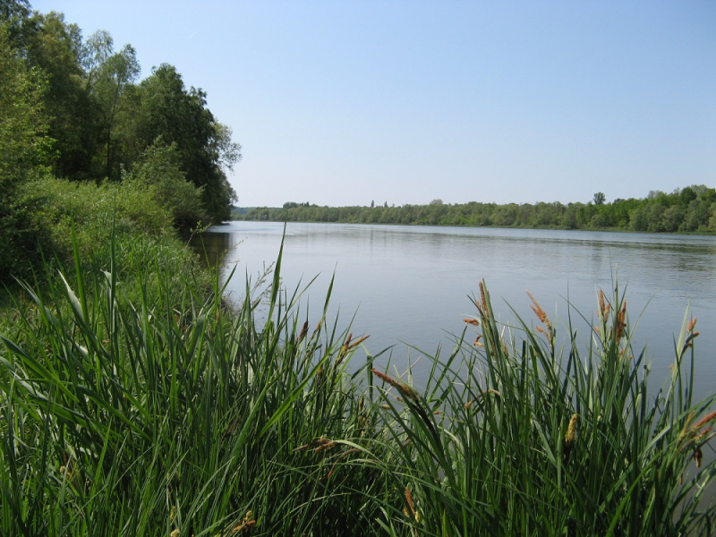 La Loire, à l'aval de Blois. Crédit : Pierre Steinbach