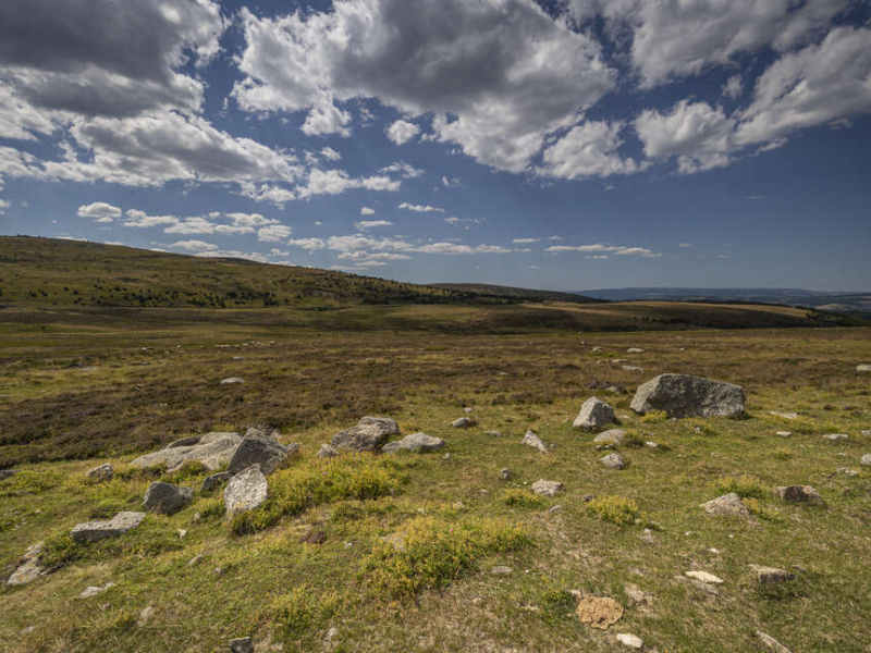 Paysage de vallon au Mont Lozère. Crédit photo : Sébastien Lamy / OFB