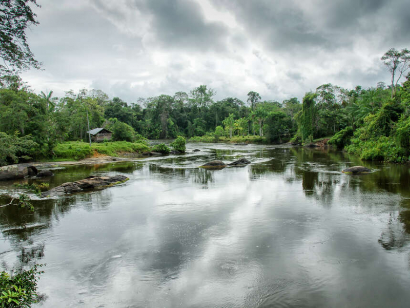 Parc amazonien de Guyane - Fleuve Oyapock et sa végétation luxuriante. Crédit photo : Sandrine Hernandez