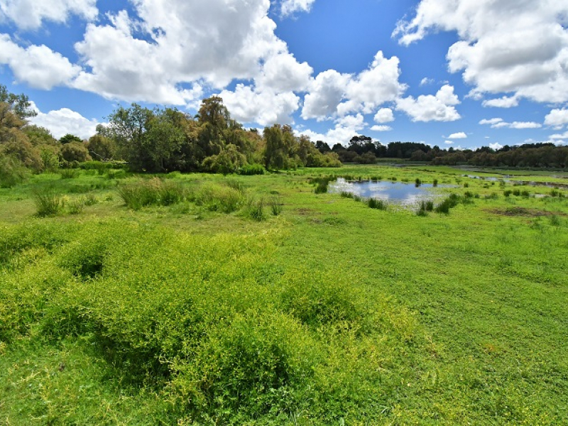 Parc naturel regional de Brière. Crédit photo : Parc naturel régional de Brière