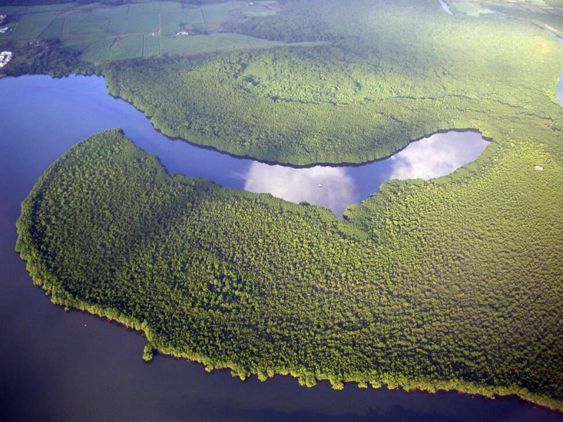 Guadeloupe, Grand Cul-de-sac marin - Crédit photo : Franck Mazéas