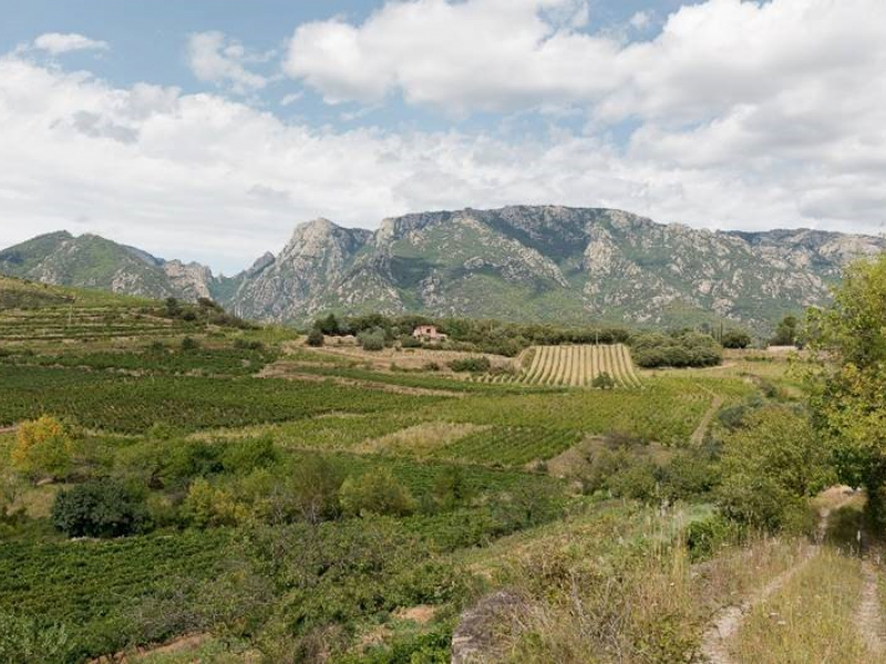 Parc naturel régional du Haut-Languedoc. Crédit photo : Parc naturel régional du Haut-Languedoc 