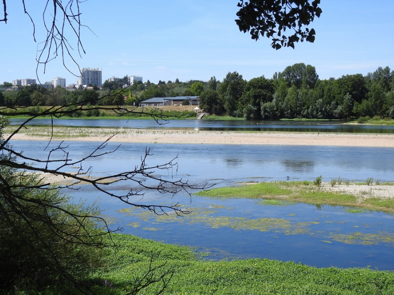 Paysage au bord de la Loire. Crédits : D.Le Bozec /OFB