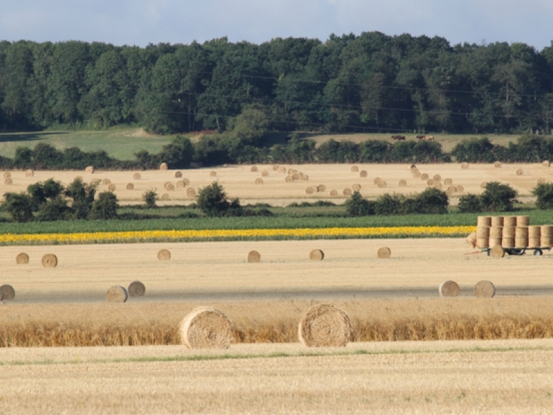 Plaine agricole. Crédit photo : N. Chevallier / OFB