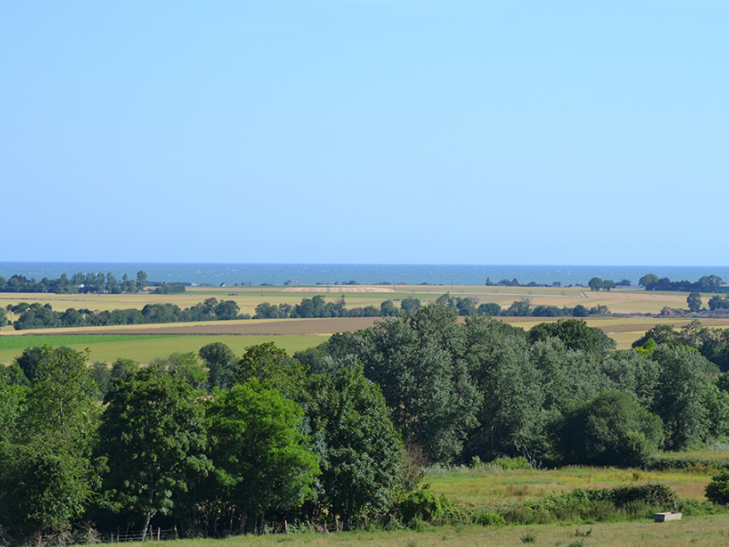 Vue sur un bocage avec la mer en fond. Crédit photo : N. Chevallier