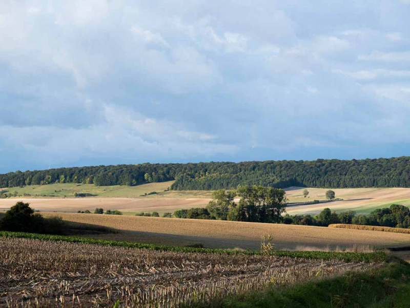 Paysage agricole. Crédit photo : Xavier Remongin / agriculture.gouv.fr