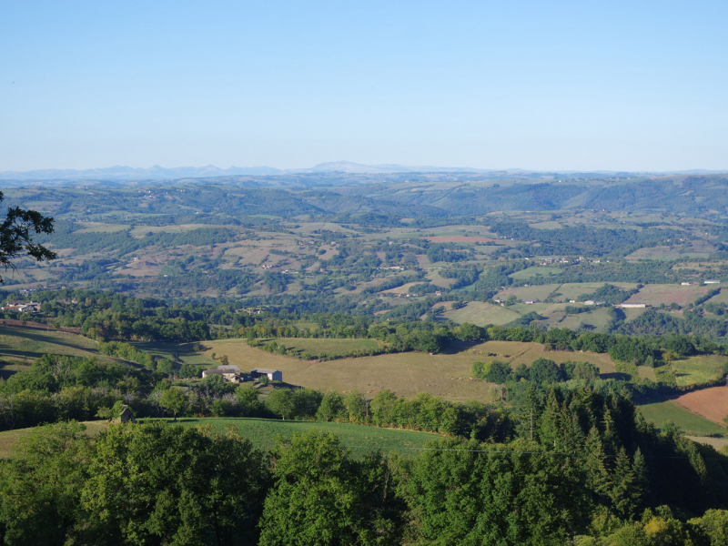 Réseau de haies en Aveyron. Crédit photo : P. Gourdain