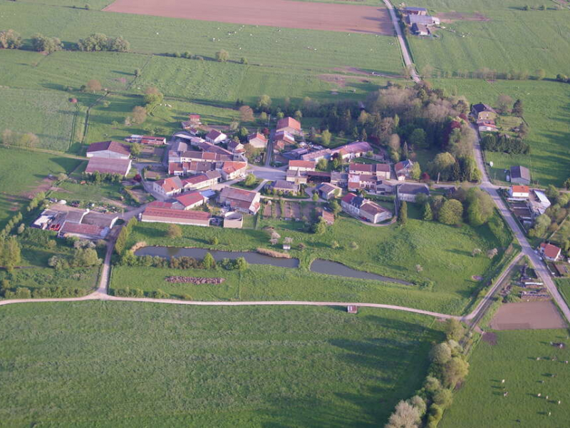 Saulmory-Villefrance (image d'illustration). Crédit photo : Thomas Schwab / OFB