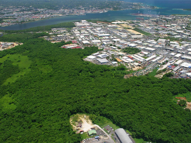 Vue aérienne de la forêt de Jarry. Crédit photo : DEAL