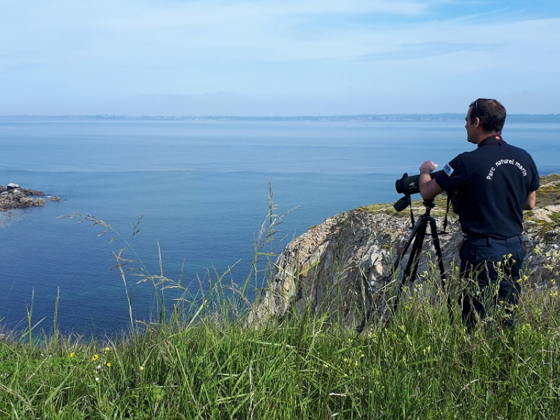 Les agents du parc marin d'Iroise ont identifié les lieux sensibles à la demande de la Préféte du Finistère, suite à la décision d'ouvrir l'accès aux plages après le déconfinement. Crédits : Cécile Gicquel / OFB