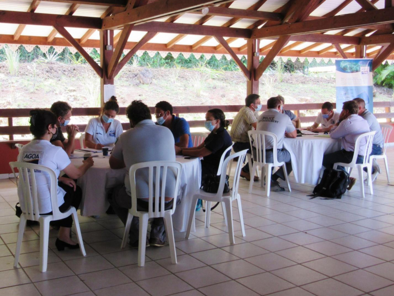 Les acteurs martiniquais de la protection des cétacés autour des tables rondes. Crédit photo : Magali Combes / OFB