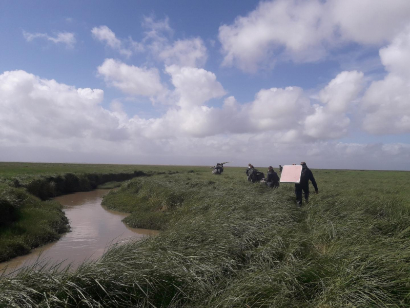 Apport du matériel sur le site de formation pour évaluer l'état de santé des prés salés. Crédit photo : Adélaïde Aschenbroich / OFB