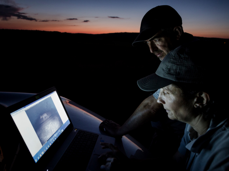 Etude sur le terrain (récupération de clichés de pièges photographiques) pour ces agents techniques de l’environnement, lors d’un suivi sur l’espèce Loup. Crédit : Philippe Massit / Office français de la biodiversité   