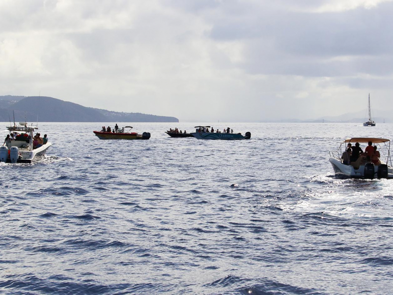 Les bateaux, trop nombreux, observent les cétaces dans leur milieu naturel. Crédit photo : Jérôme Couvat / OFB