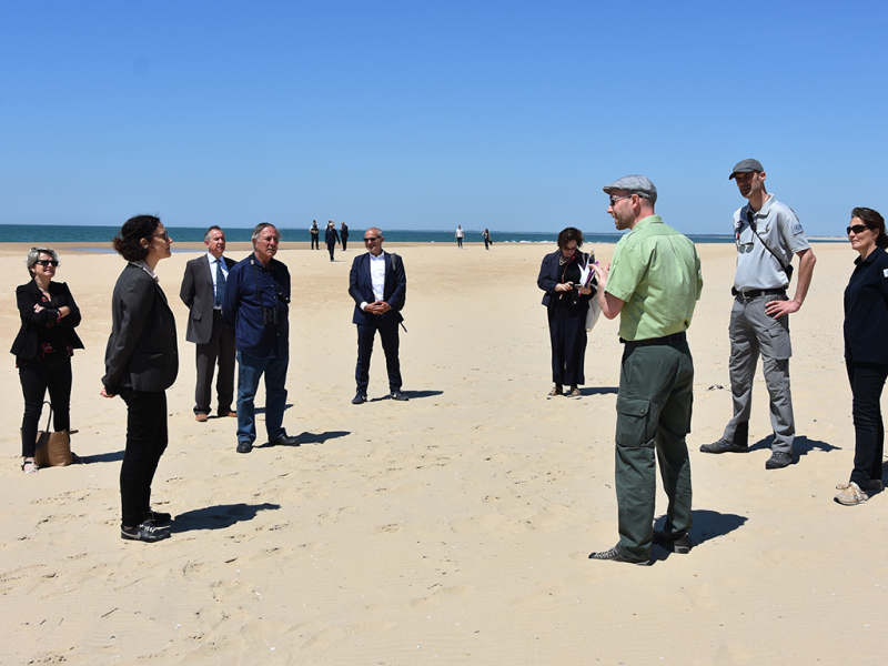 Visite de la secrétaire d’État auprès de la ministre de la Transition écologique et solidaire, Emmanuelle Wargon sur le site de La Tremblade. Crédit photo : Cécile Barreaud / OFB