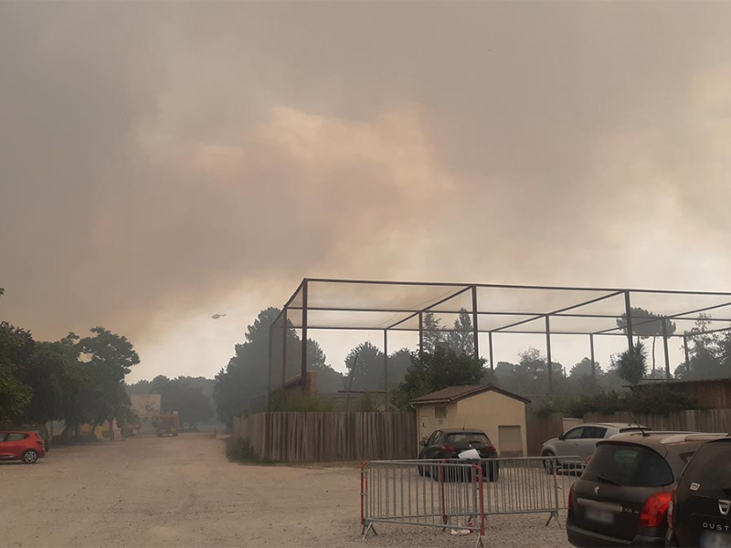 L'incendie se rapproche du zoo. Crédit photo : Didier Labat / OFB