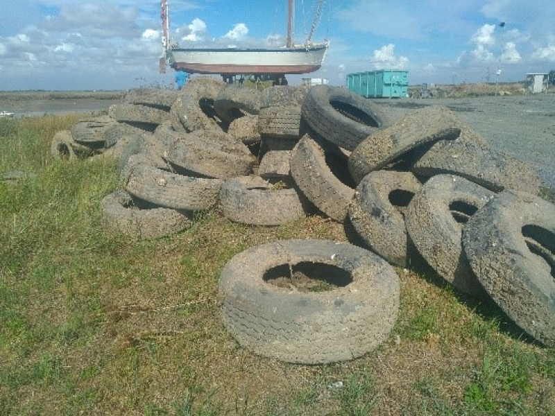 Plusieurs dizaines de pneu ont été retirés du lit ou des bords de la Sèvre. Crédit photo : OFB