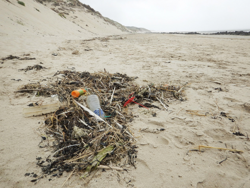 Laisse de mer comprenant des déchets. Crédit photo : Morgane Ricard / OFB