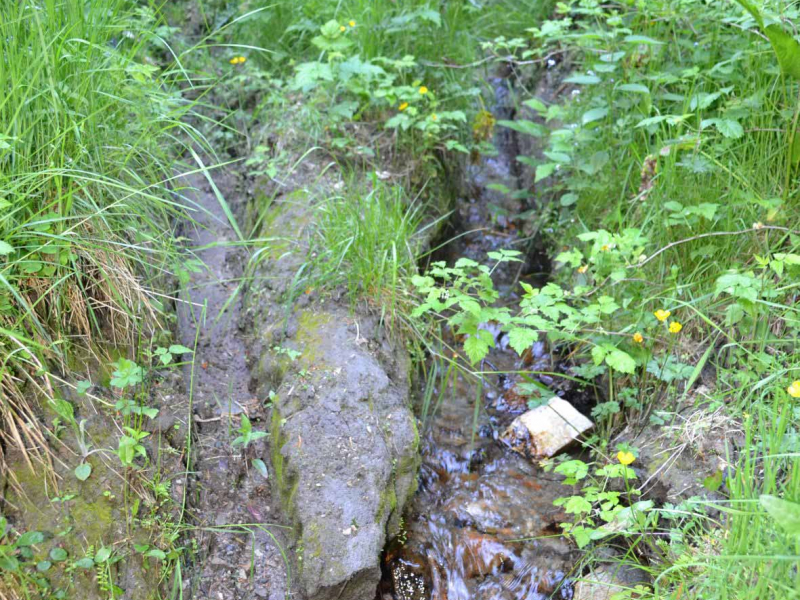 Les effets des VTM dans les espaces naturels. Crédit photo : Simon Grollemund / OFB