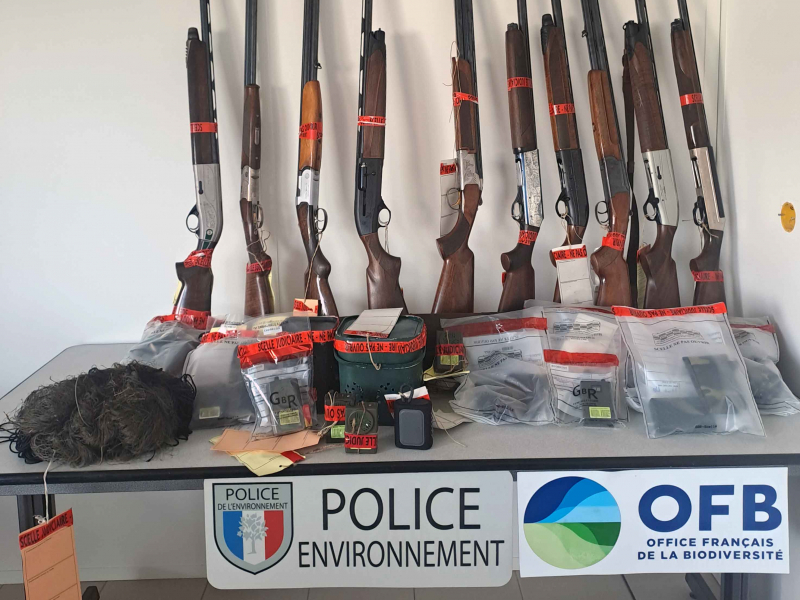 20 instruments prohibés,12 fusils et une paire de filets de pante à alouettes ont été saisis. Crédit photo : Jean-Olivier Terrier / OFB