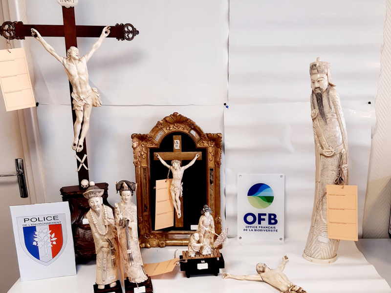 Objets en ivoire saisis en mars 2021. Crédit photo : Office français de la biodiversité