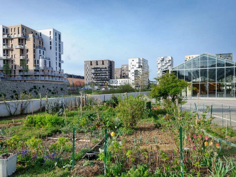 Jardins dans l'écoquartier des Docks de Saint-Ouen. Crédits photo : Arnaud Bouissou / Terra