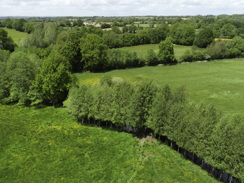 Haie et bocage _ Jean-Louis Aubert OFB