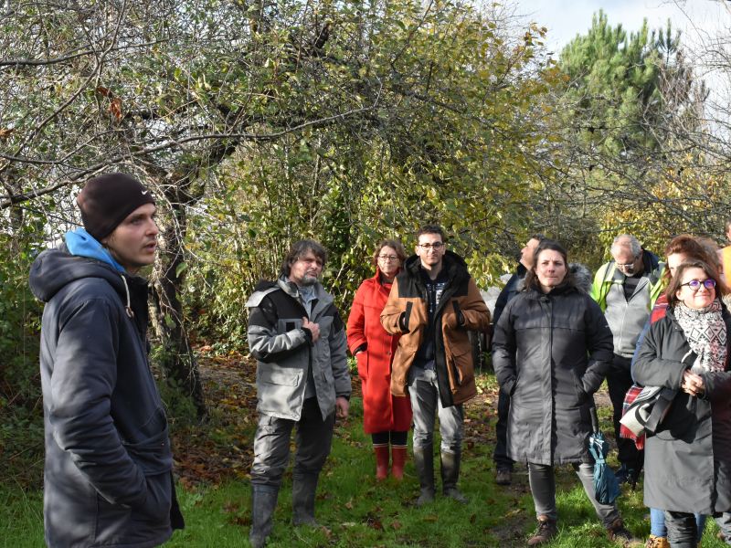 Visite de l’exploitation maraîchère Les Jardins de Piconnat