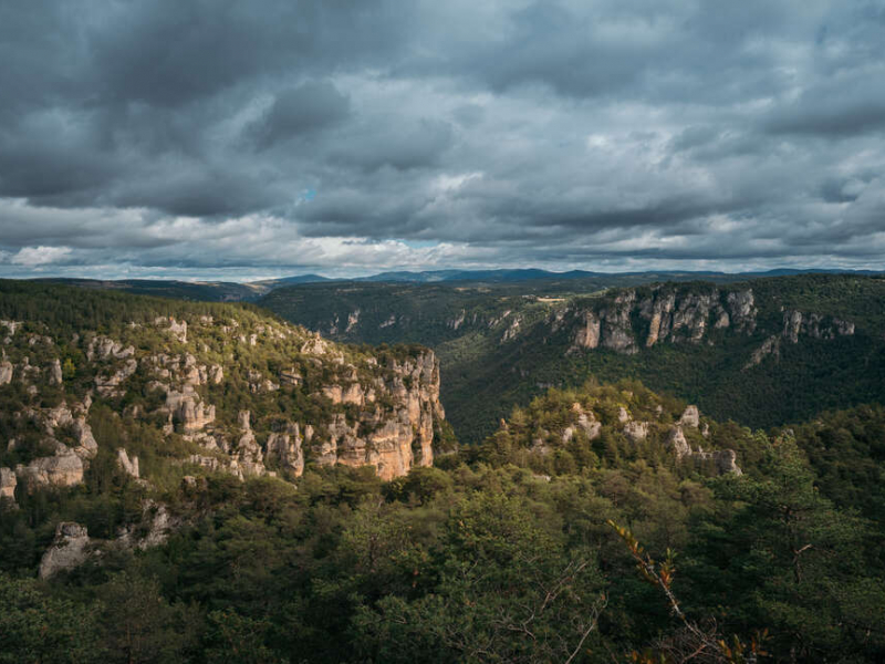 Parc national des Cévennes.  Crédit photo : Antoine Forget / OFB