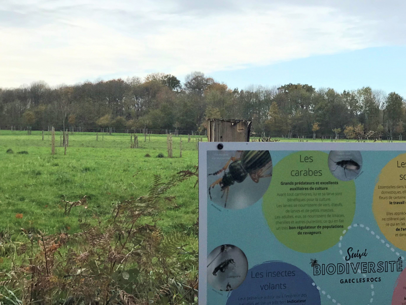 Visite du GAEC Les Rocs - Jean-Baptiste Rallu, CDC Biodiversité