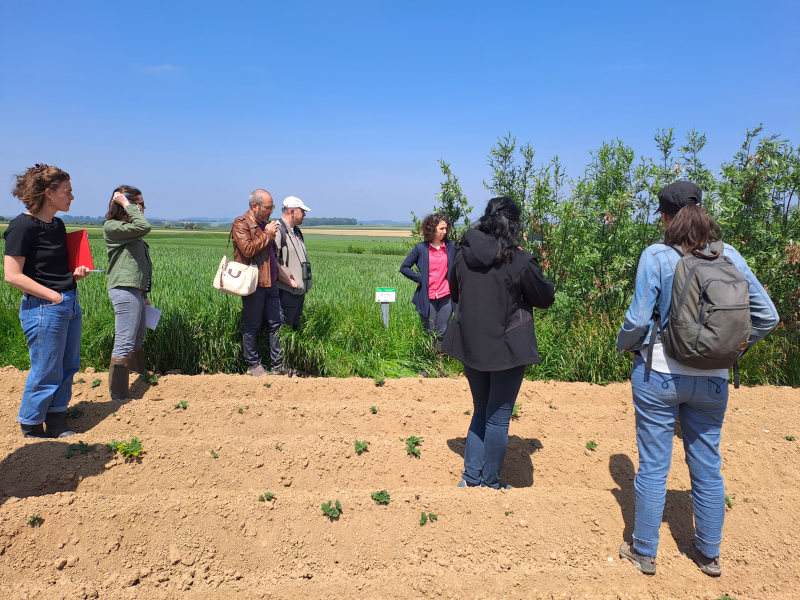 Visite de terrain avec le CPIE et la CCNP près de Auxi-le-Château