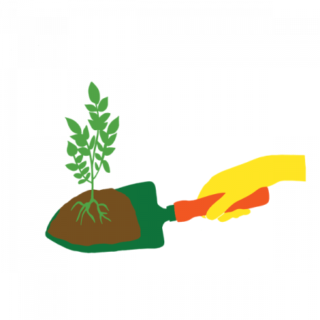 J’utilise du terreau sans tourbe