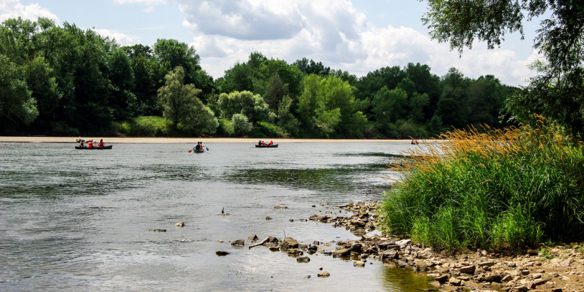 Canoe sur la Loire. Crédit photo : Serge Boue / OFB