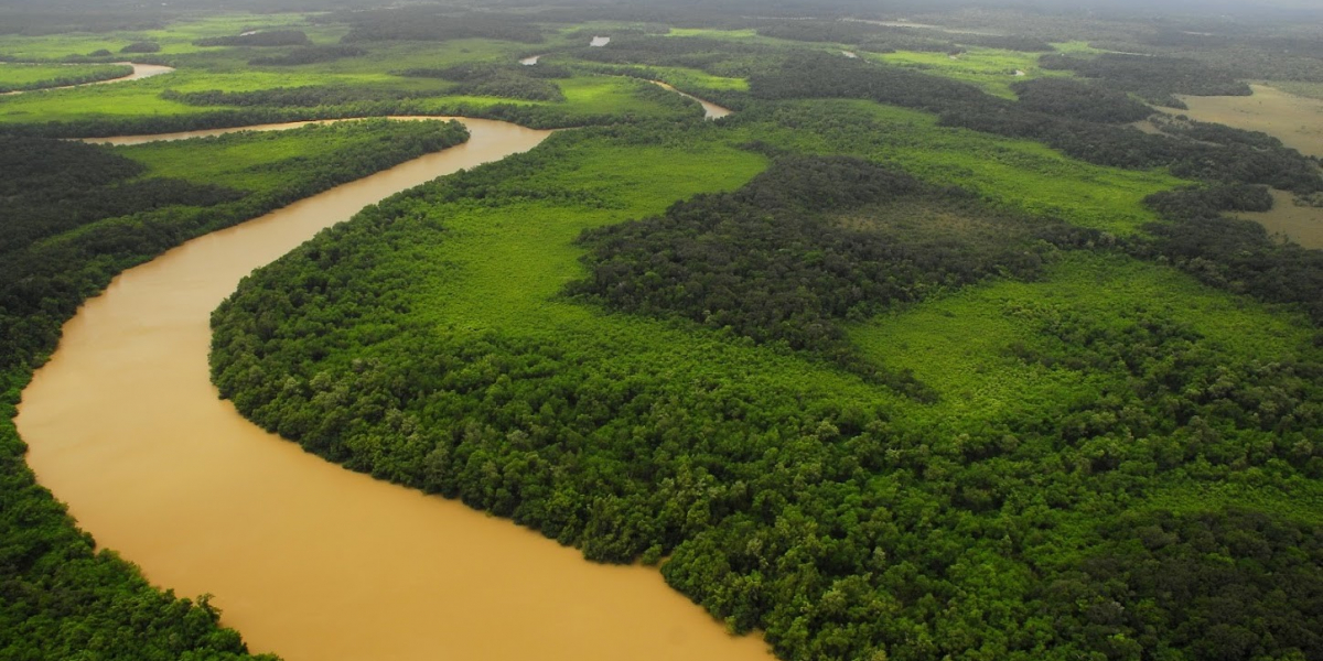 Rivière de Cayenne. Crédit photo : Mathieu Entraygues / OFB