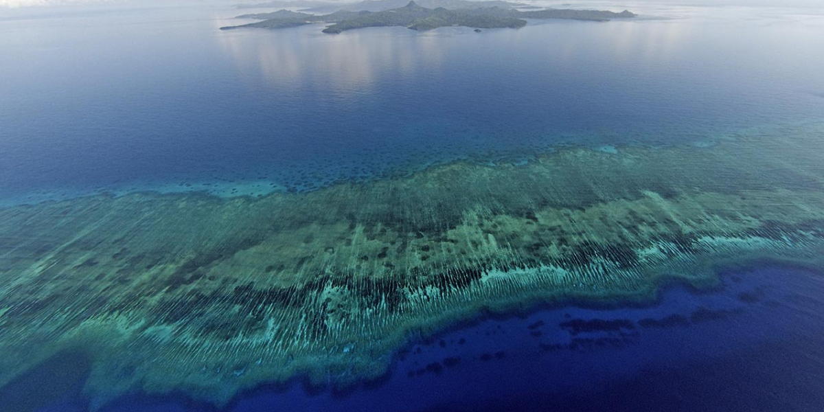 Récif sud de Mayotte. Crédit photo : Marc Allaria